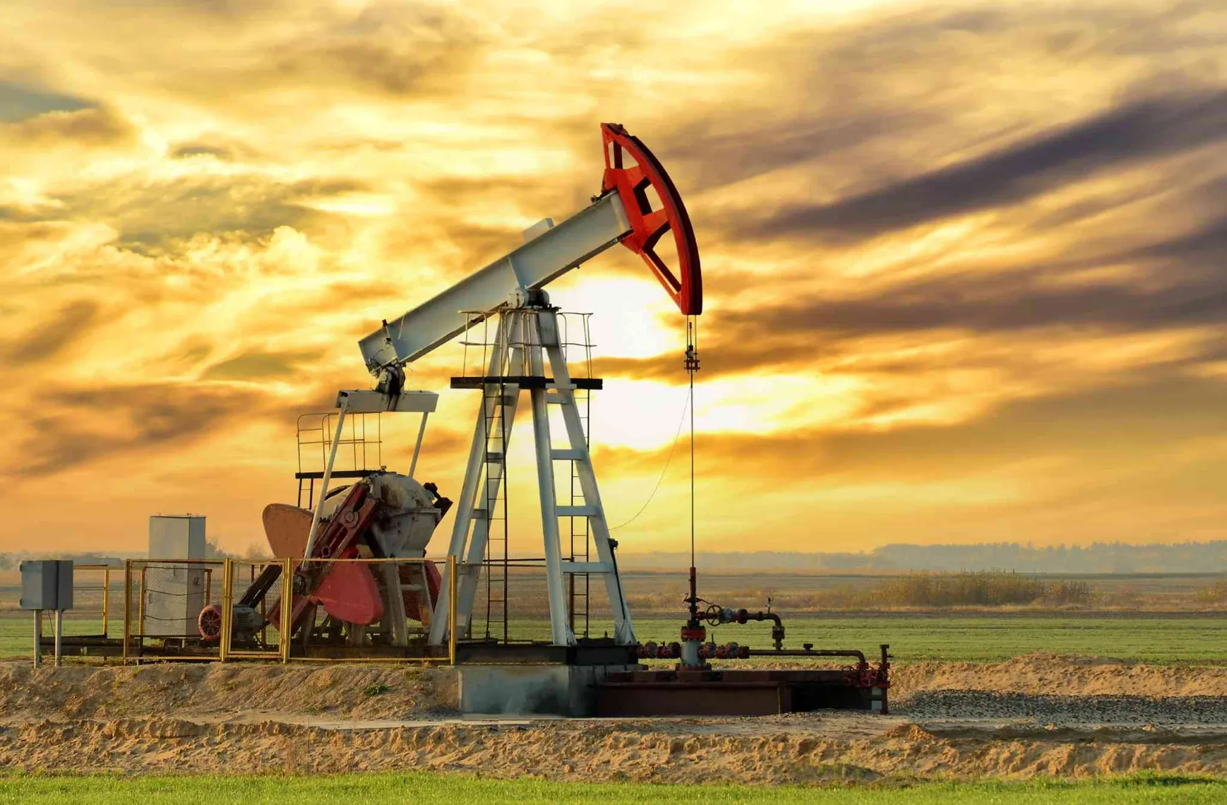 Petroleum Trading & Distribution